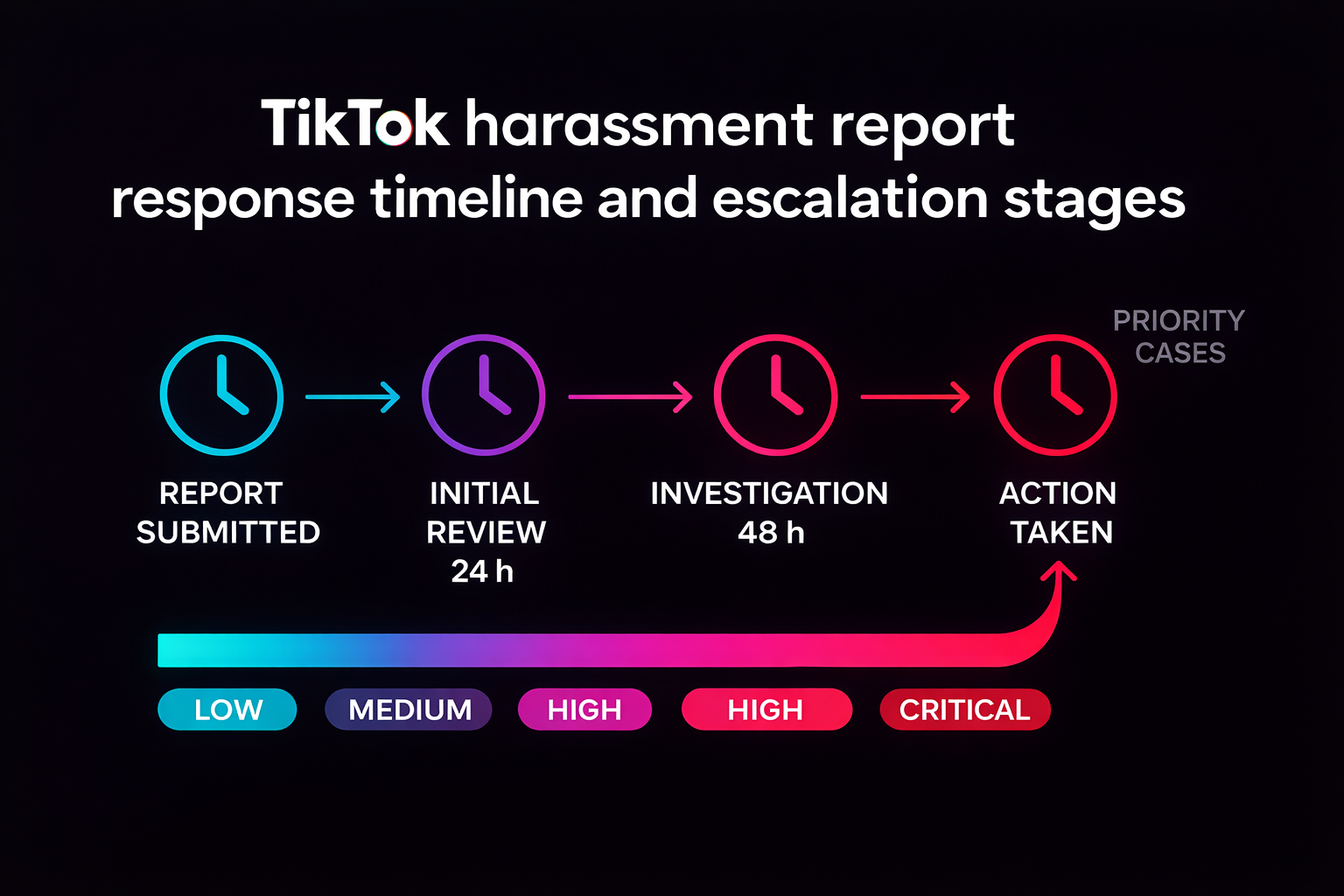 Workflow diagram showing TikTok ban service process from evidence collection to enforcement confirmation
